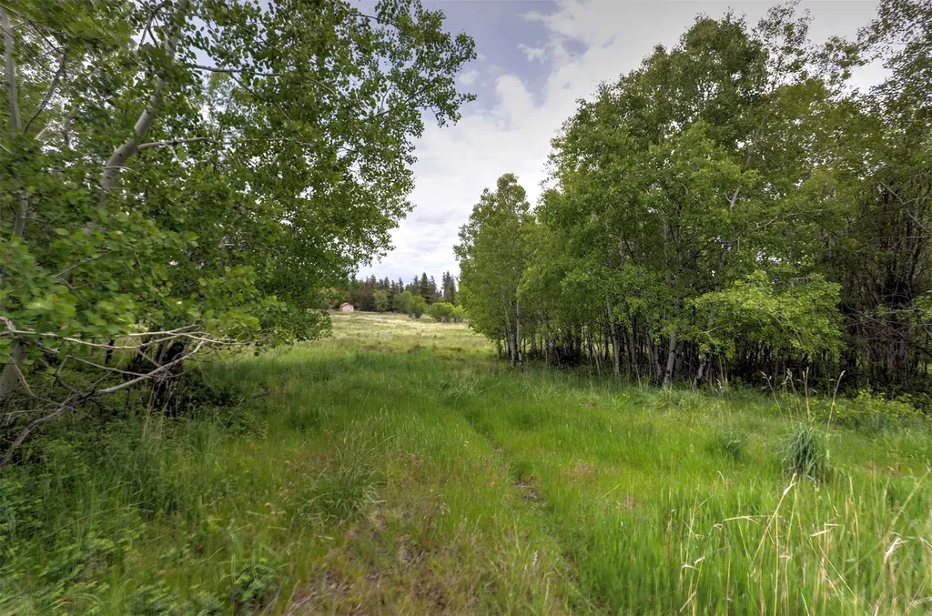 959 W Cow Creek Road Hamilton MT 59840