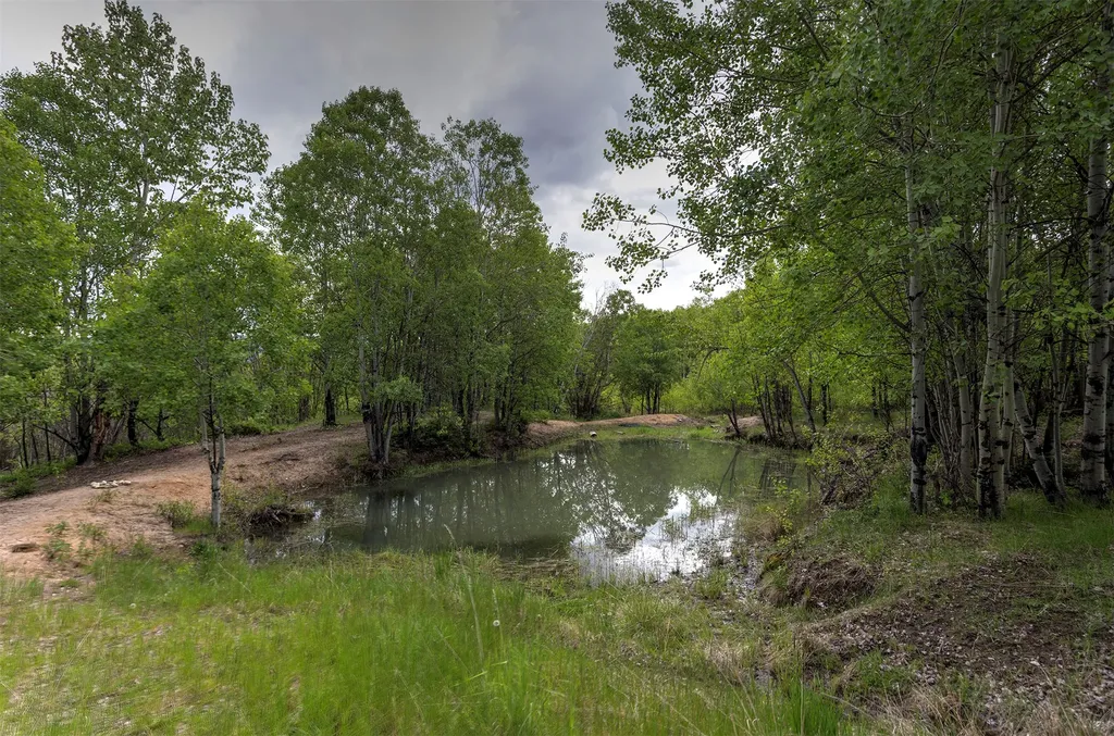 959 W Cow Creek Road Hamilton MT 59840