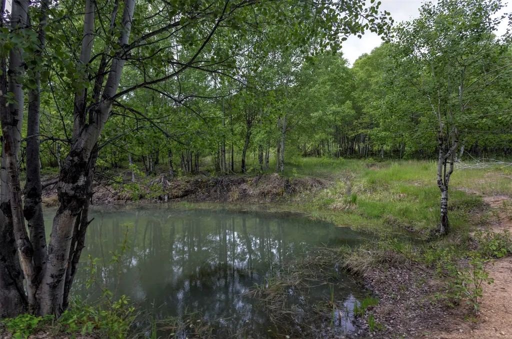 959 W Cow Creek Road Hamilton MT 59840