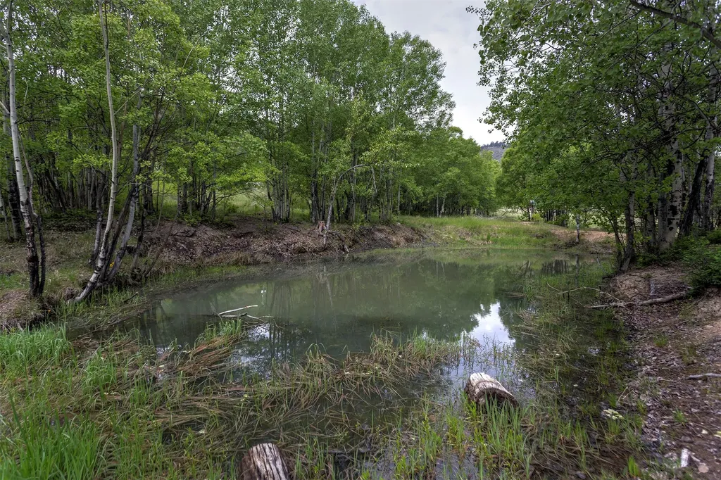 959 W Cow Creek Road Hamilton MT 59840