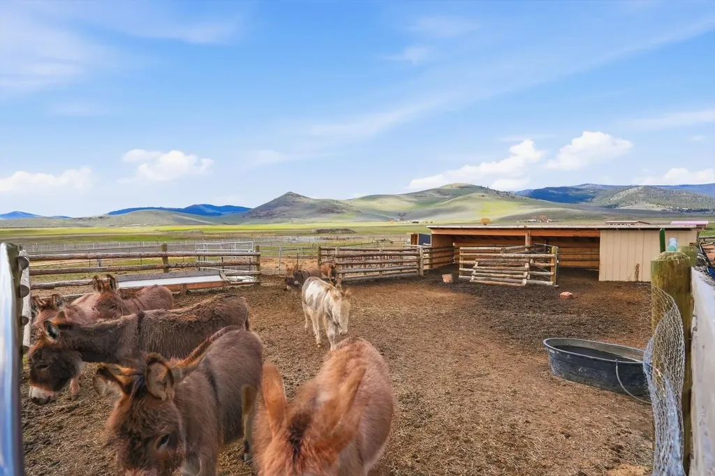 37 Andrews Road Hot Springs MT 59845