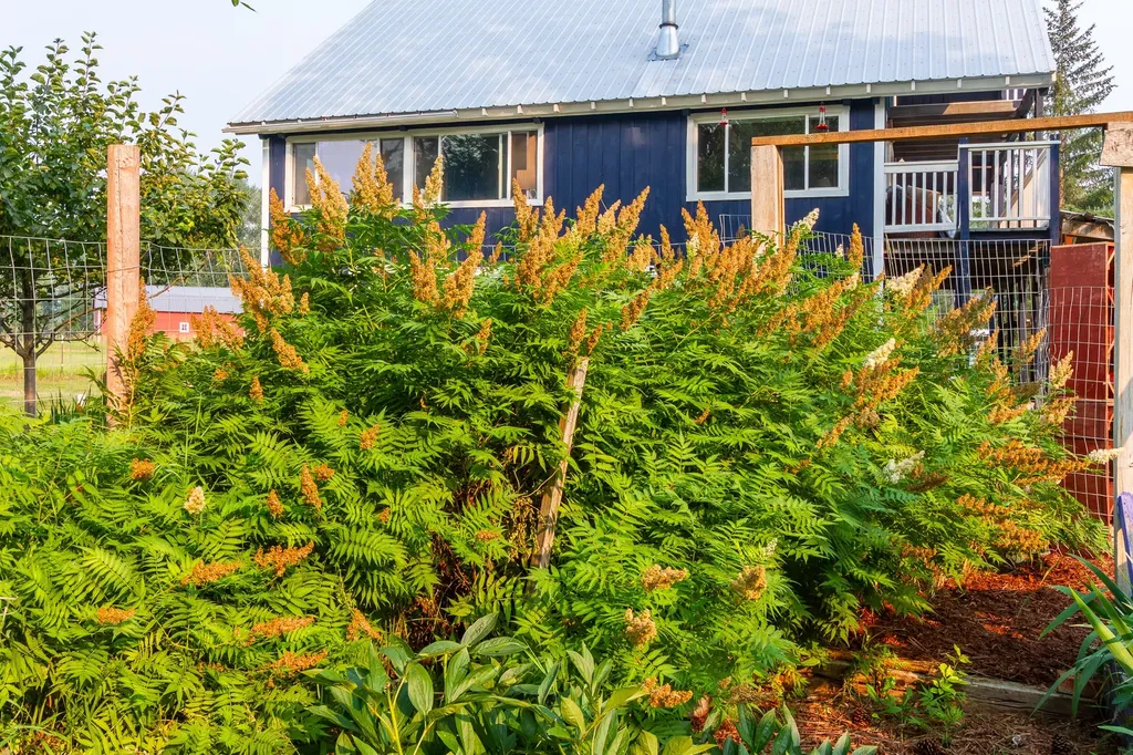 712 Conrad Drive Kalispell MT 59901