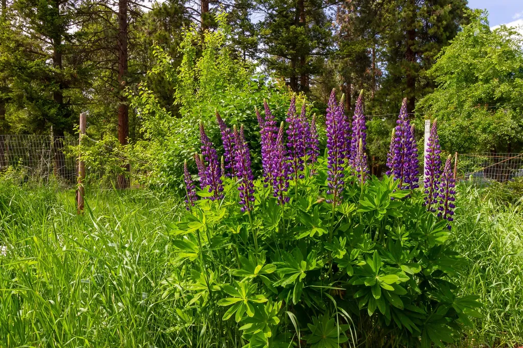712 Conrad Drive Kalispell MT 59901