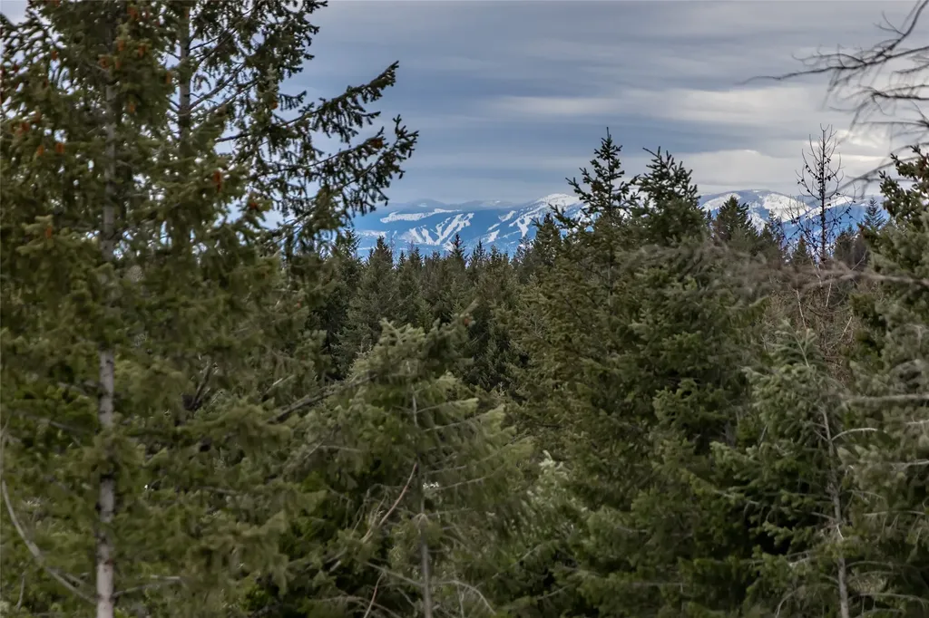 265 S Wakewood Drive Kalispell MT 59901