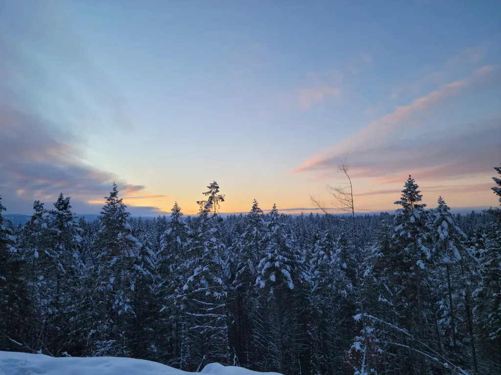 265 S Wakewood Drive Kalispell MT 59901