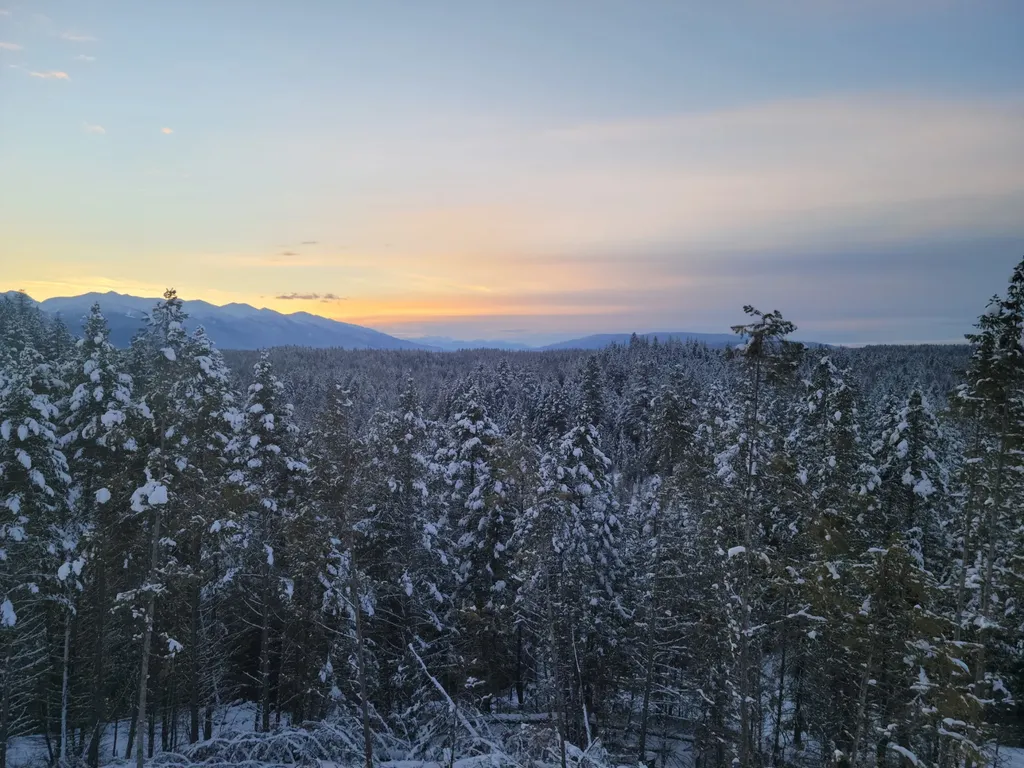 265 S Wakewood Drive Kalispell MT 59901