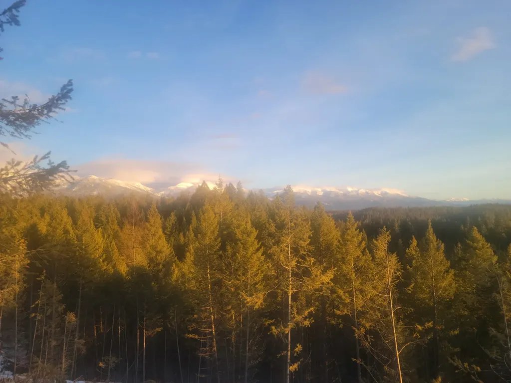 265 S Wakewood Drive Kalispell MT 59901