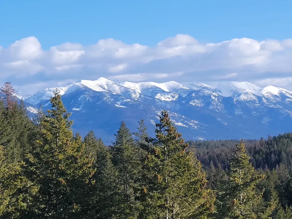 265 S Wakewood Drive Kalispell MT 59901
