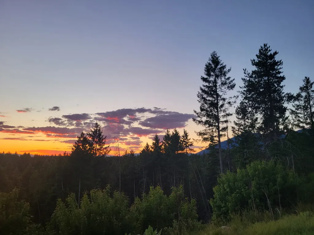 265 S Wakewood Drive Kalispell MT 59901