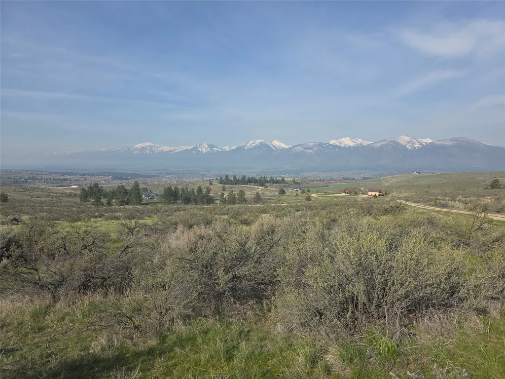 Nhn Paso Fino Trail Florence MT 59833