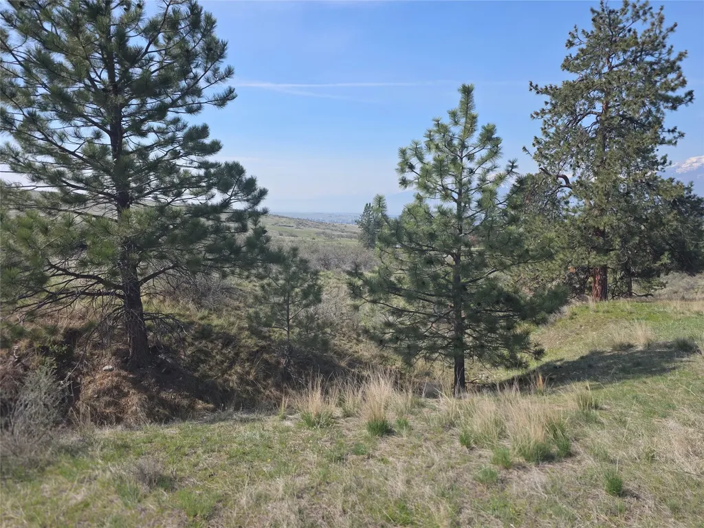 Nhn Paso Fino Trail Florence MT 59833