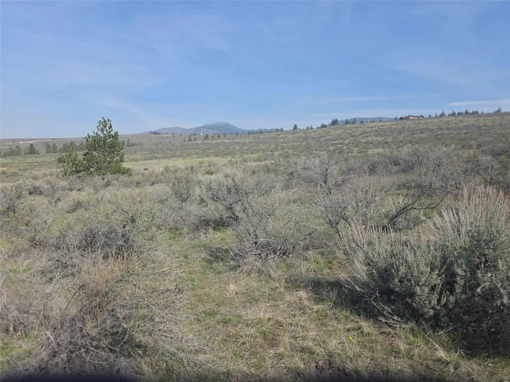 Nhn Paso Fino Trail Florence MT 59833
