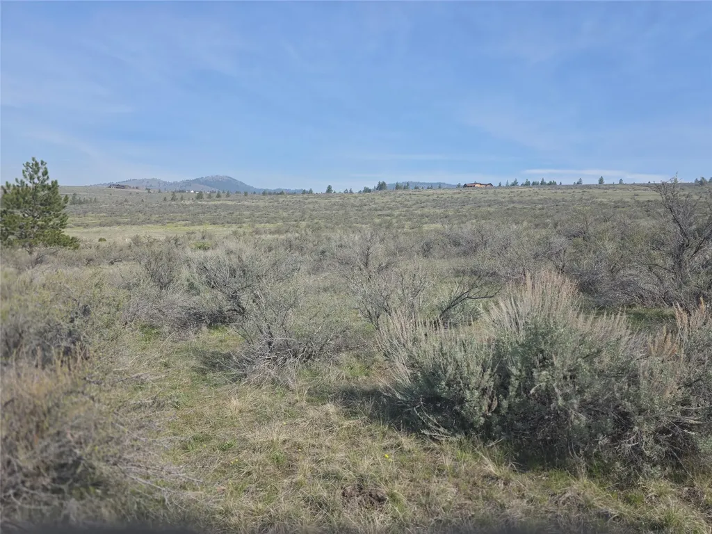 Nhn Paso Fino Trail Florence MT 59833