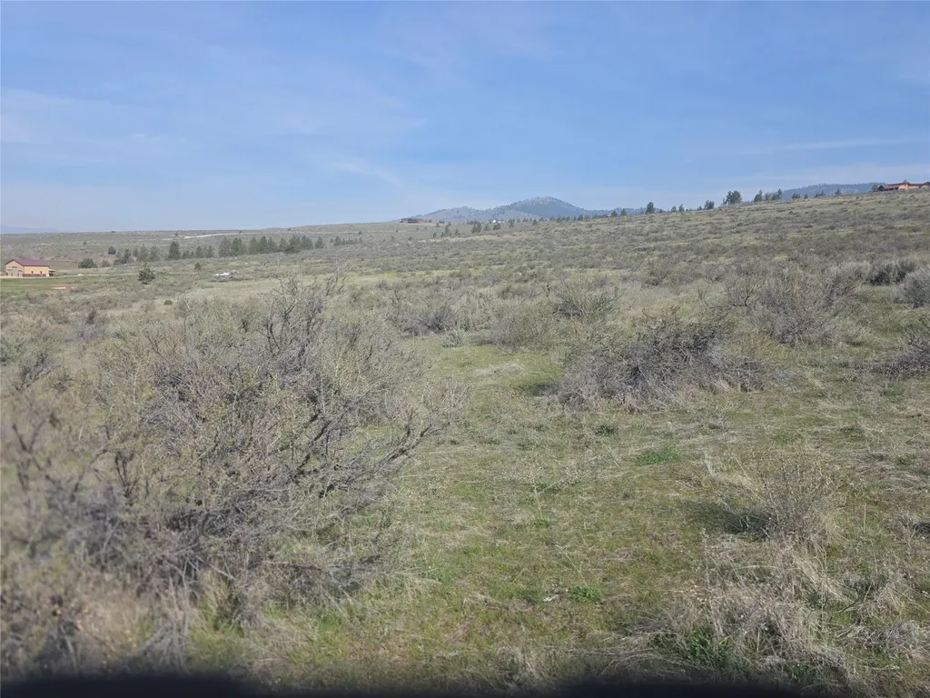 Nhn Paso Fino Trail Florence MT 59833