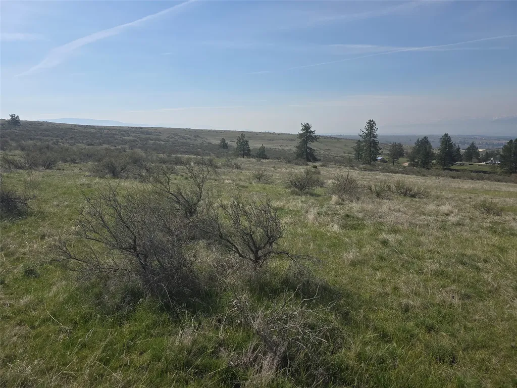 Nhn Paso Fino Trail Florence MT 59833