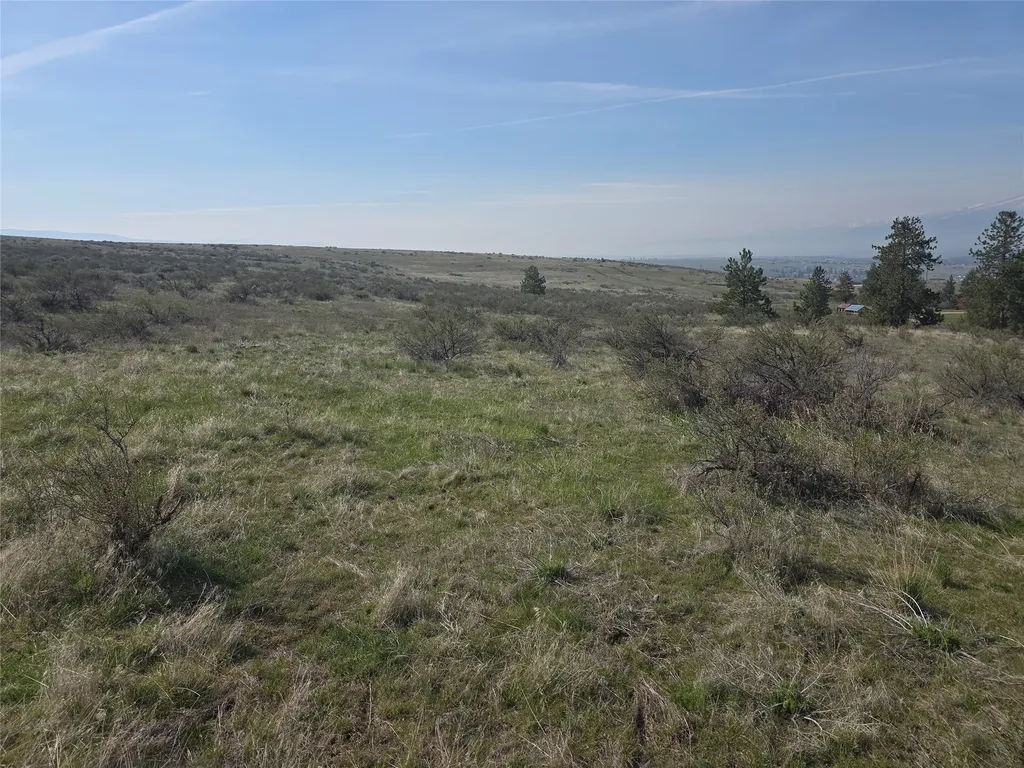 Nhn Paso Fino Trail Florence MT 59833
