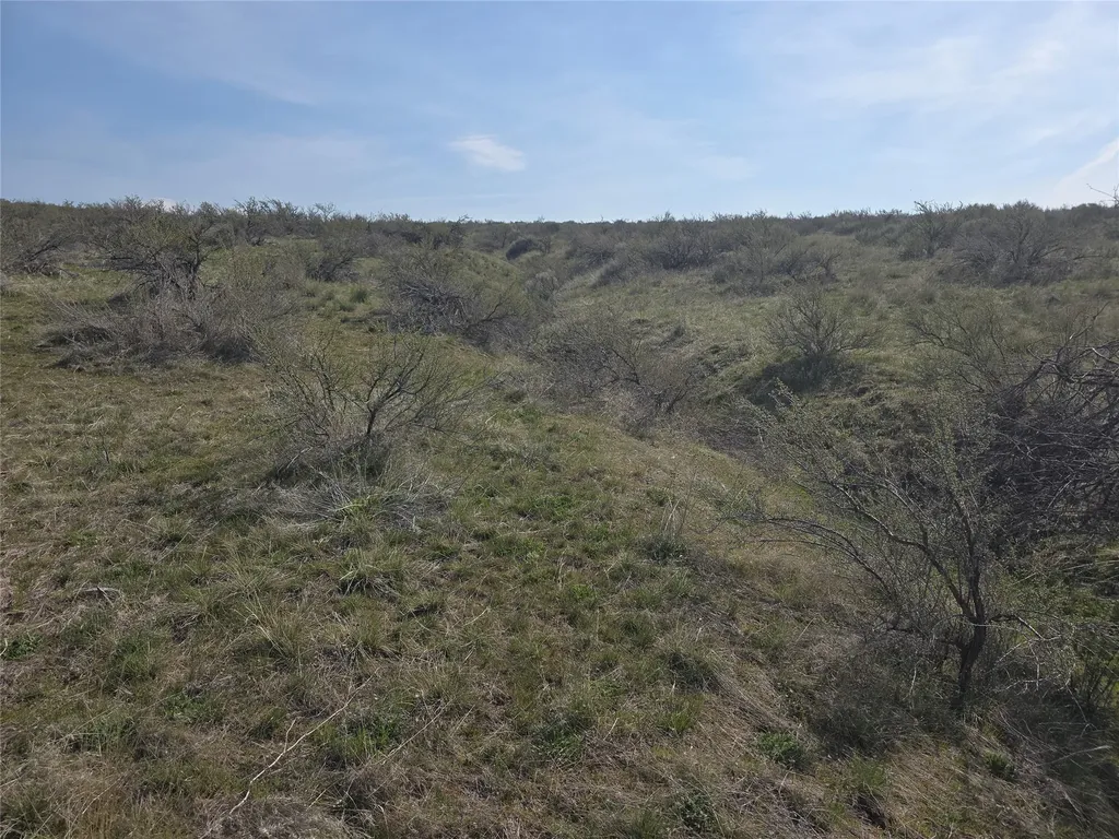 Nhn Paso Fino Trail Florence MT 59833