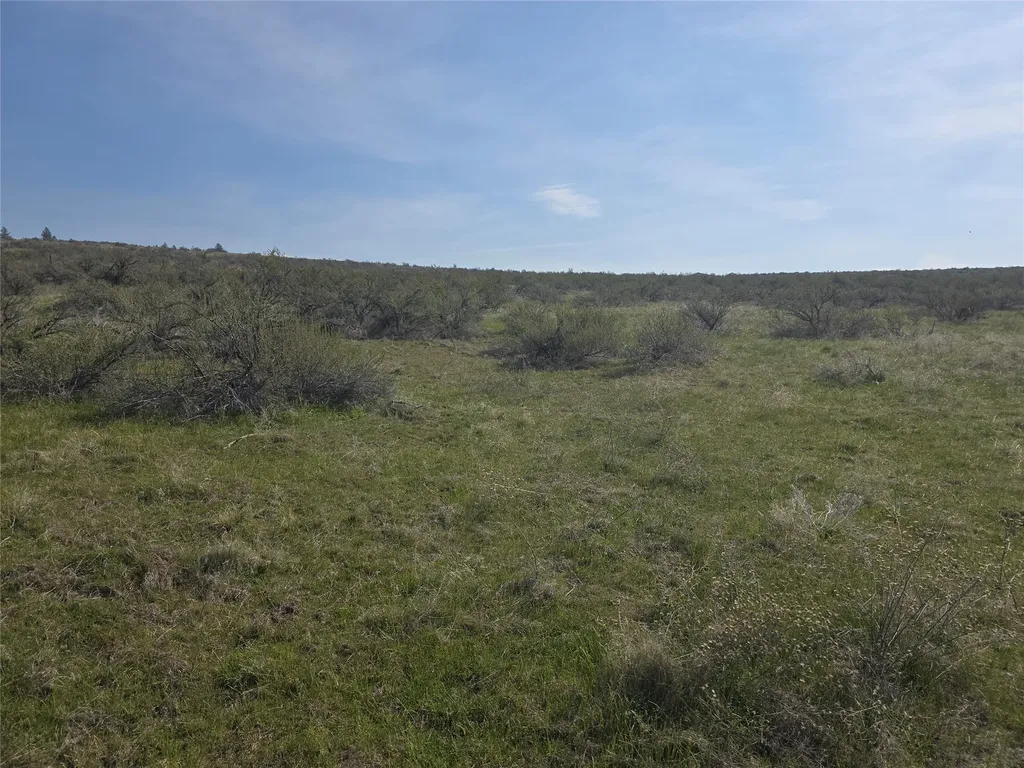 Nhn Paso Fino Trail Florence MT 59833