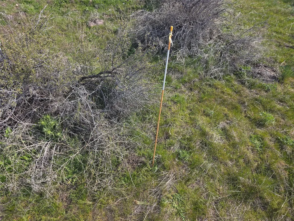 Nhn Paso Fino Trail Florence MT 59833