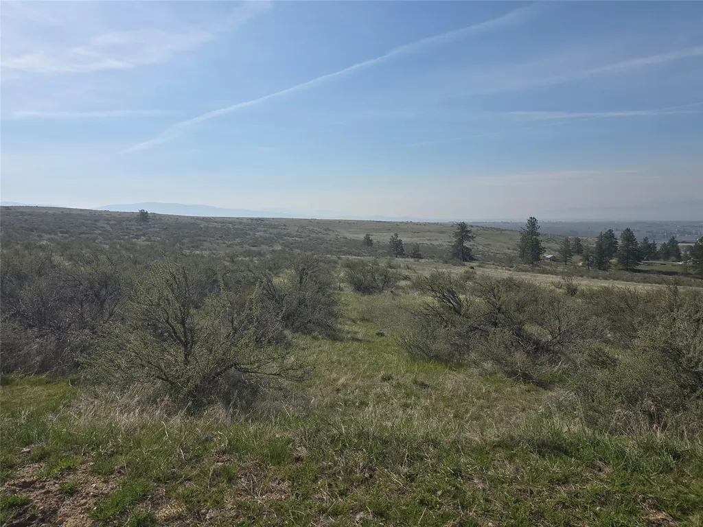 Nhn Paso Fino Trail Florence MT 59833