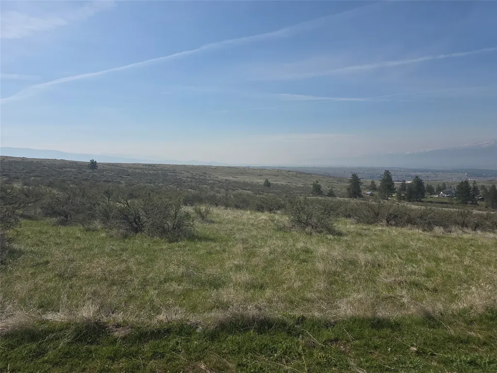 Nhn Paso Fino Trail Florence MT 59833