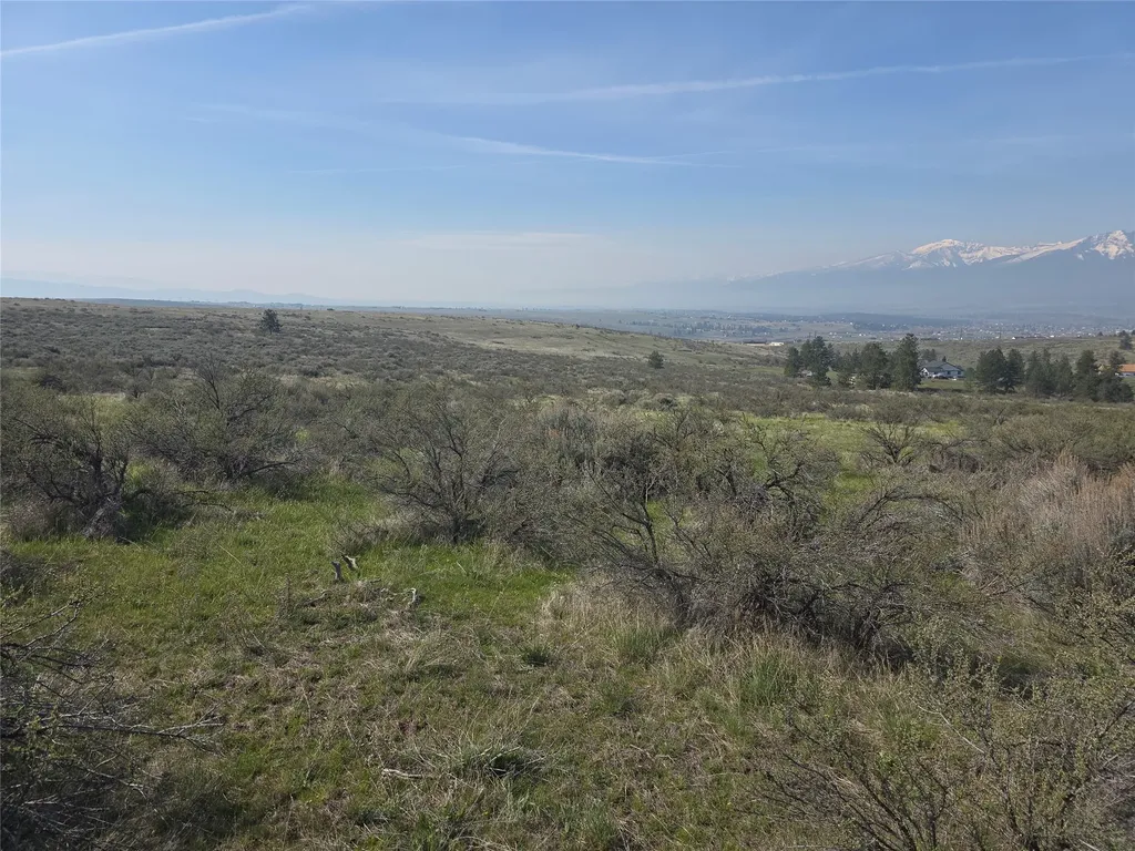 Nhn Paso Fino Trail Florence MT 59833