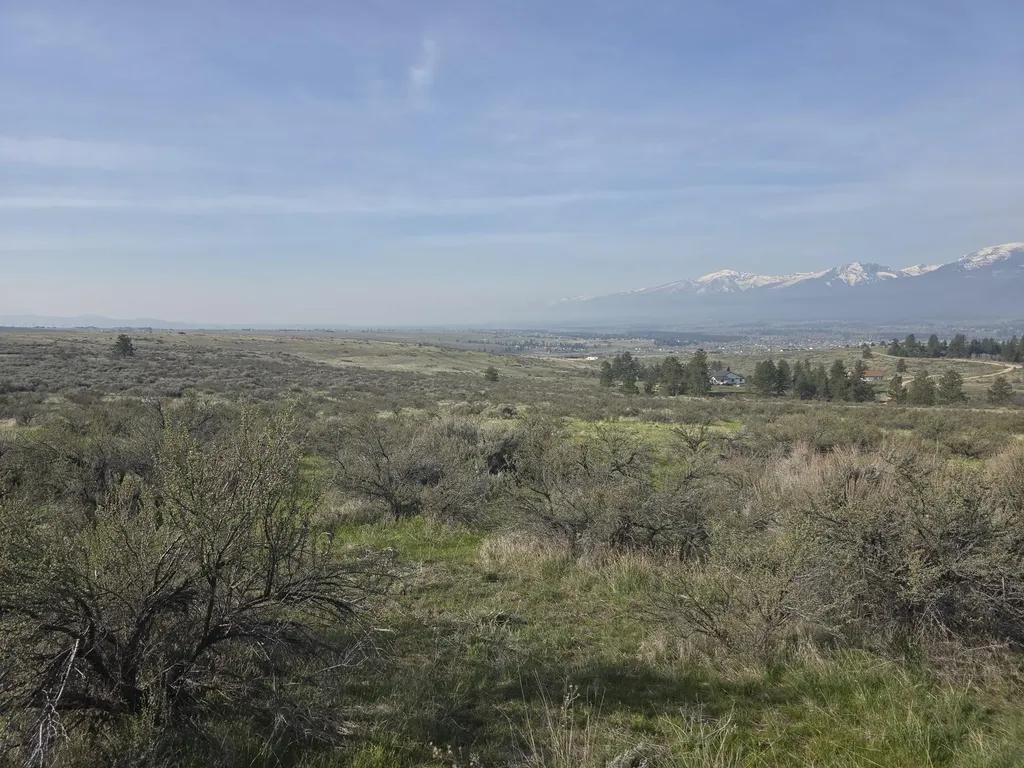 Nhn Paso Fino Trail Florence MT 59833