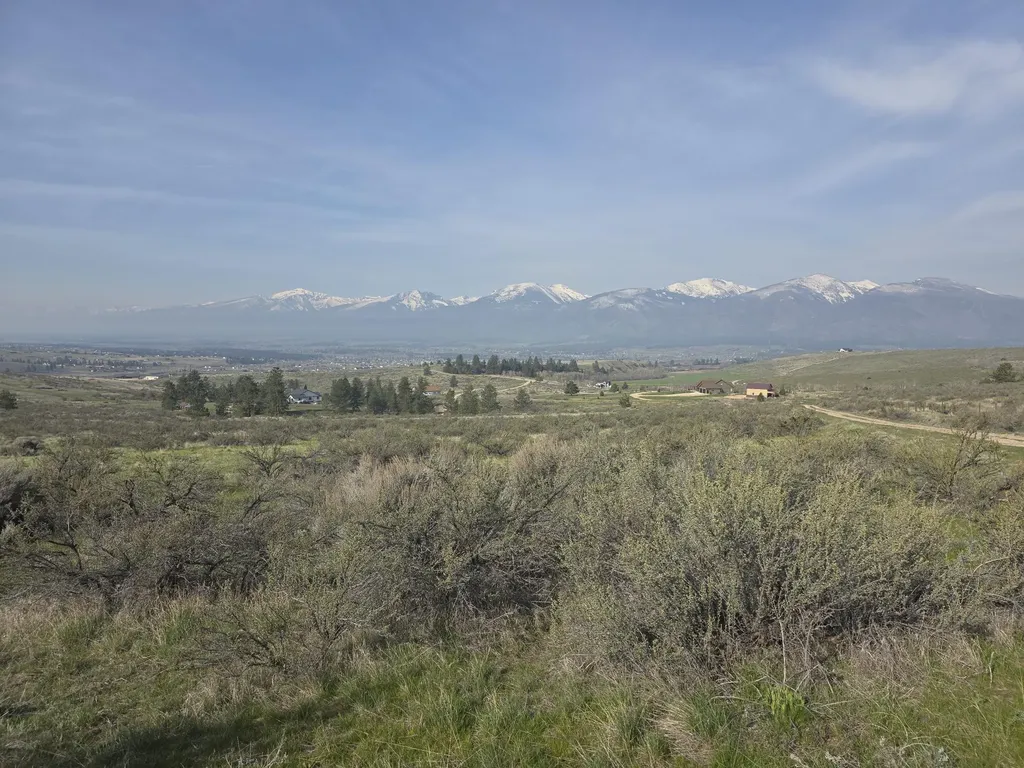 Nhn Paso Fino Trail Florence MT 59833