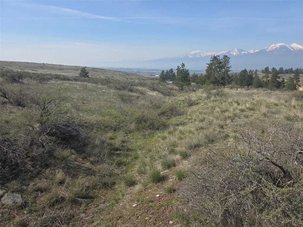 Nhn Paso Fino Trail Florence MT 59833