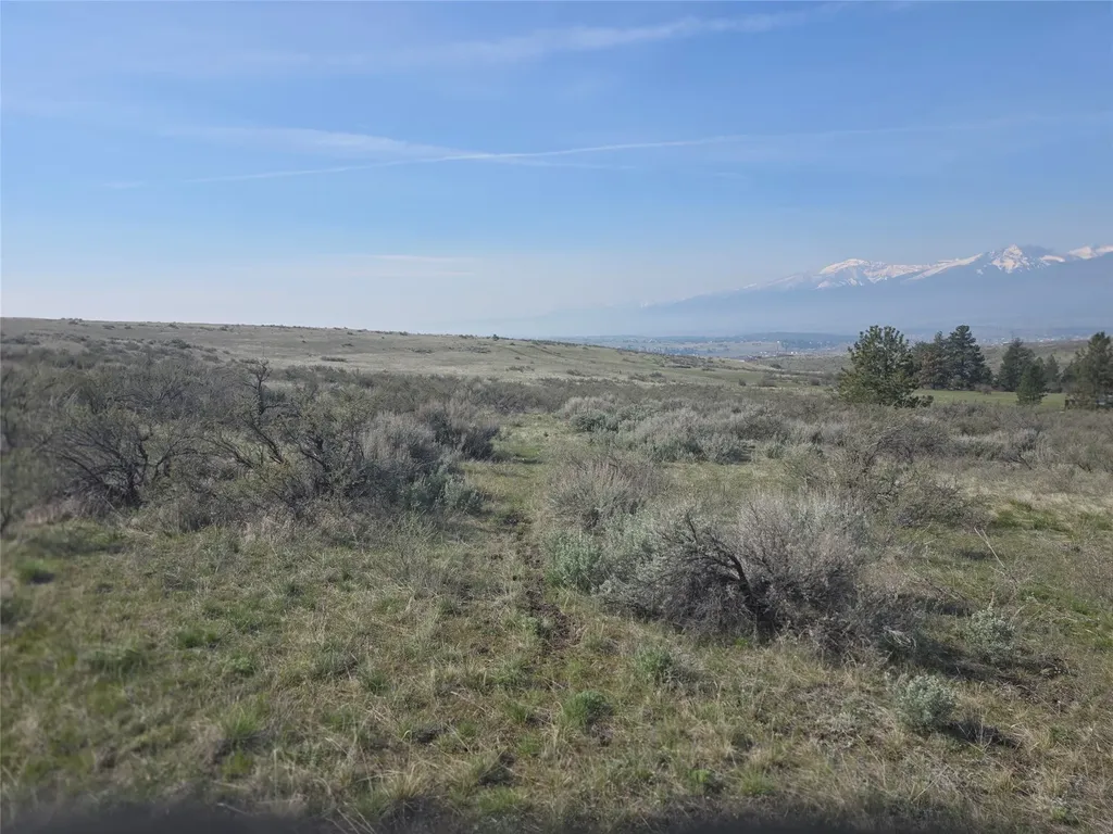Nhn Paso Fino Trail Florence MT 59833