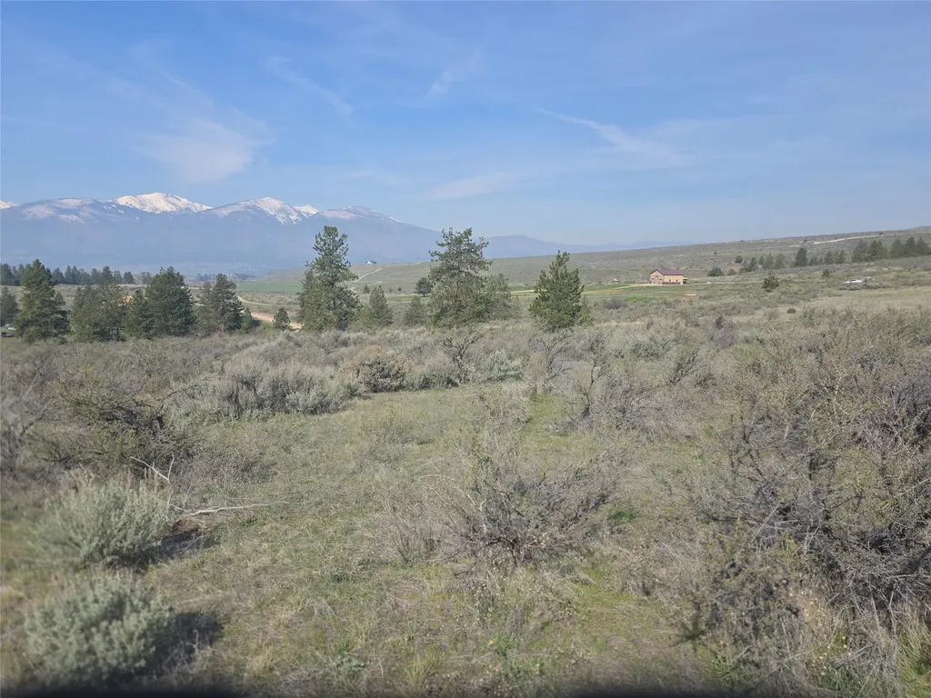 Nhn Paso Fino Trail Florence MT 59833