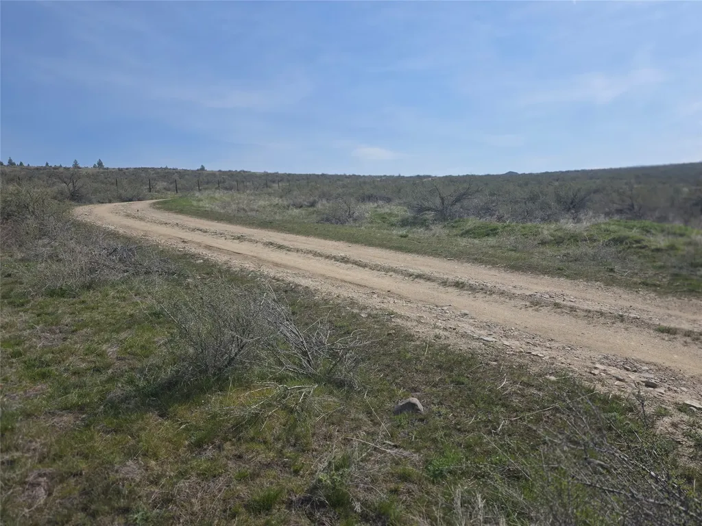 Nhn Paso Fino Trail Florence MT 59833