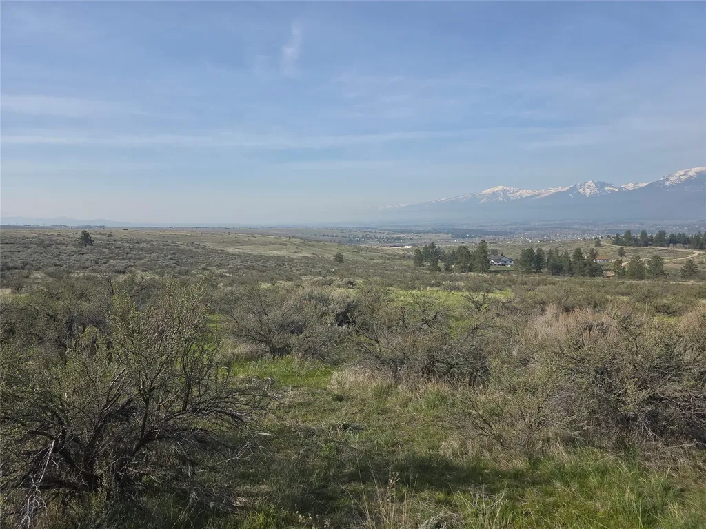 Nhn Paso Fino Trail Florence MT 59833
