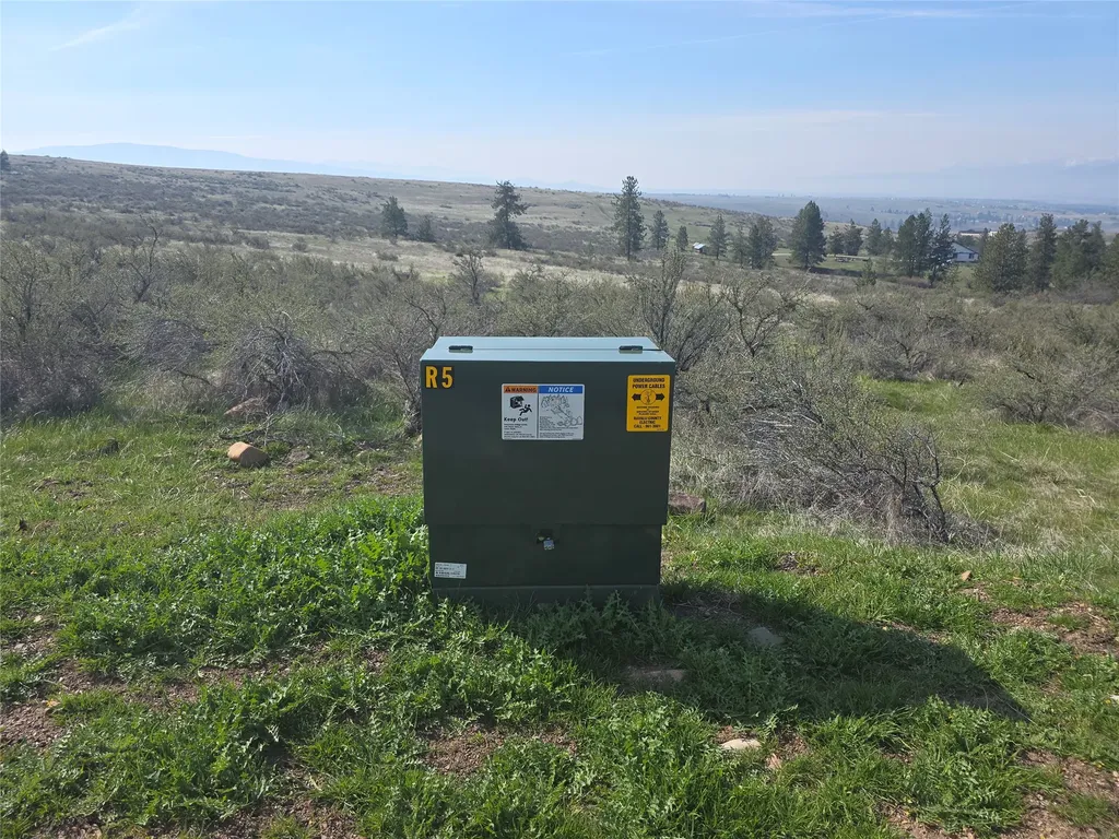 Nhn Paso Fino Trail Florence MT 59833