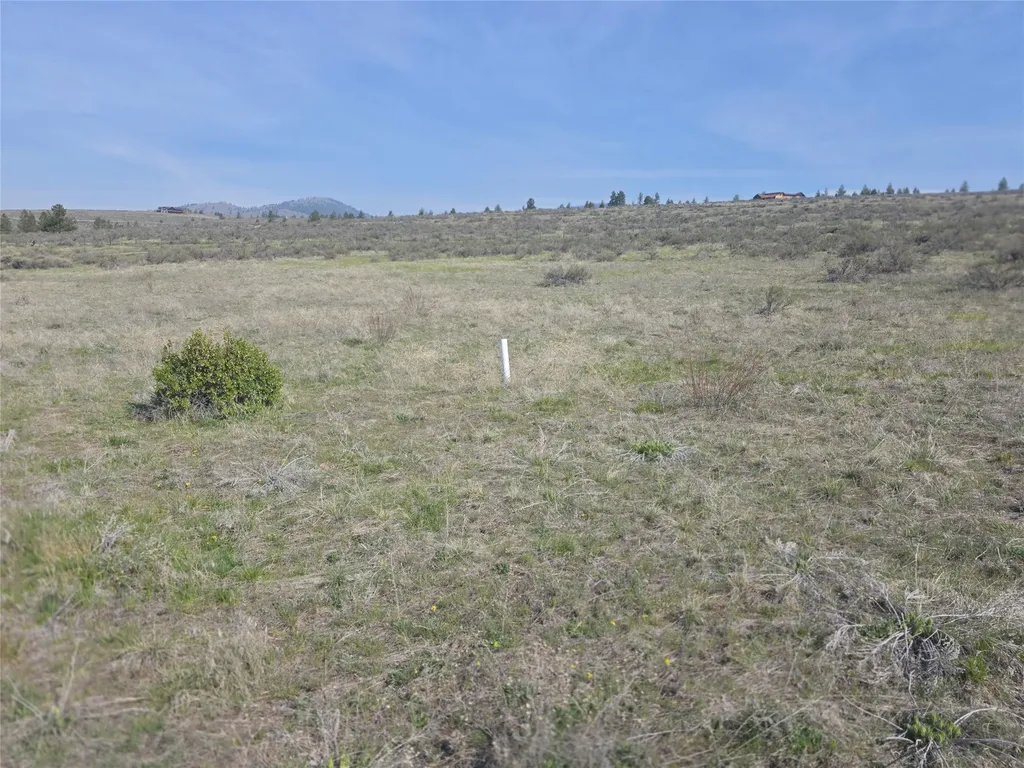 Nhn Paso Fino Trail Florence MT 59833