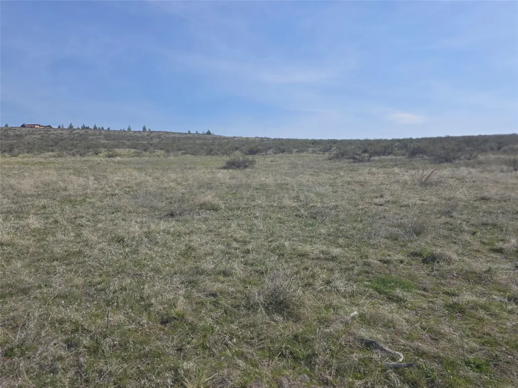 Nhn Paso Fino Trail Florence MT 59833