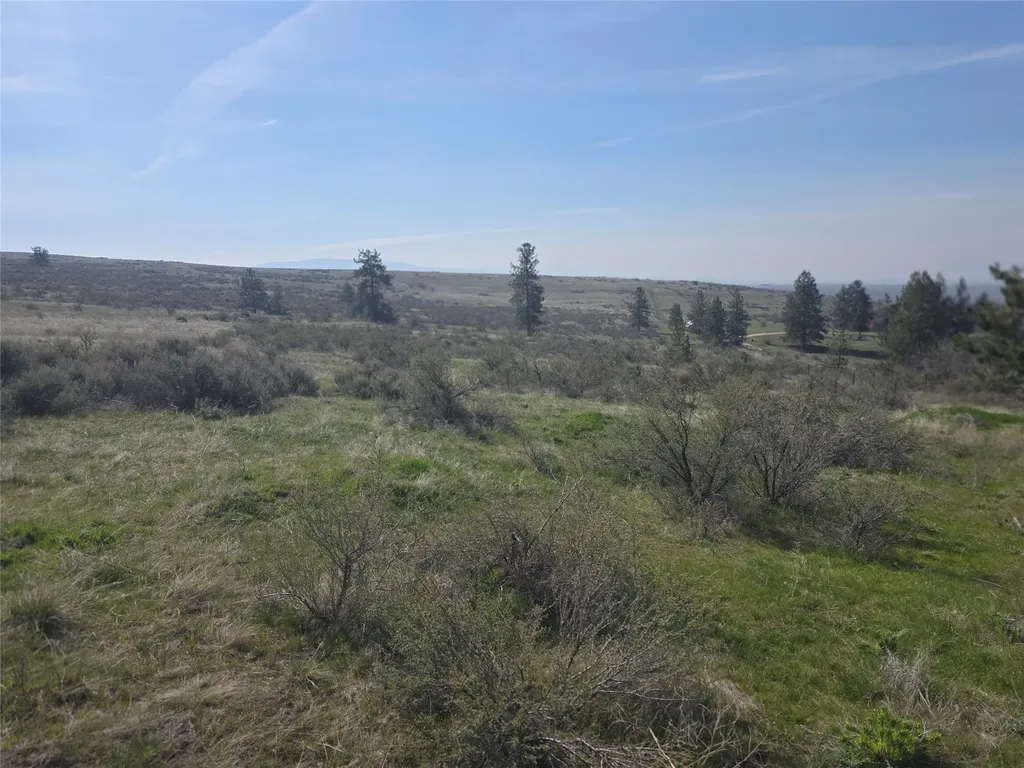 Nhn Paso Fino Trail Florence MT 59833