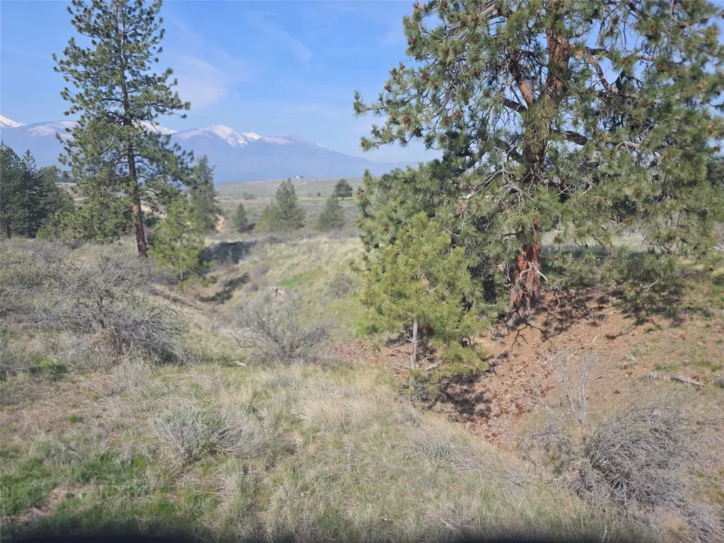 Nhn Paso Fino Trail Florence MT 59833