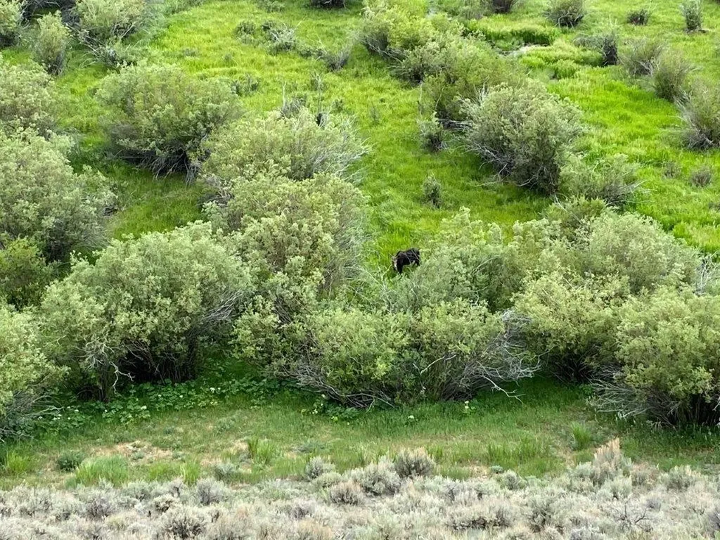 Tbd Camp Creek Road Butte MT 59701