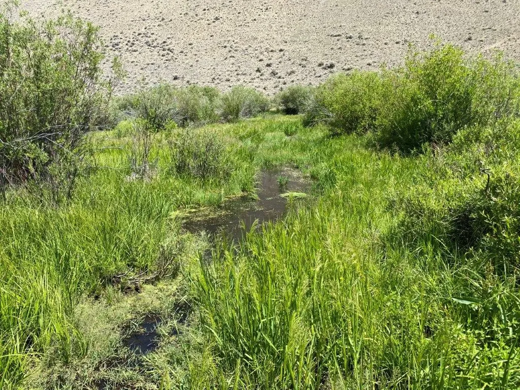 Tbd Camp Creek Road Butte MT 59701