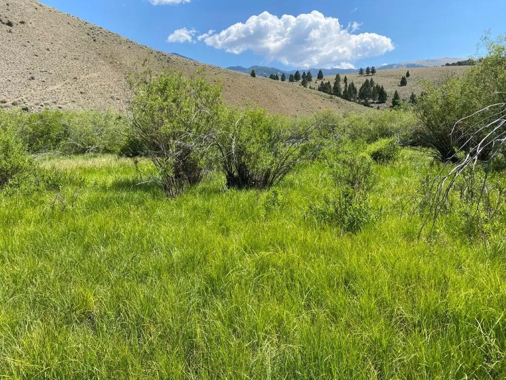 Tbd Camp Creek Road Butte MT 59701