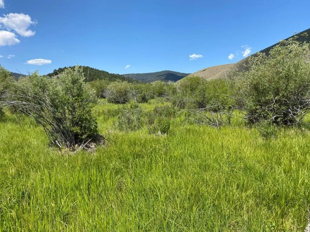 Tbd Camp Creek Road Butte MT 59701