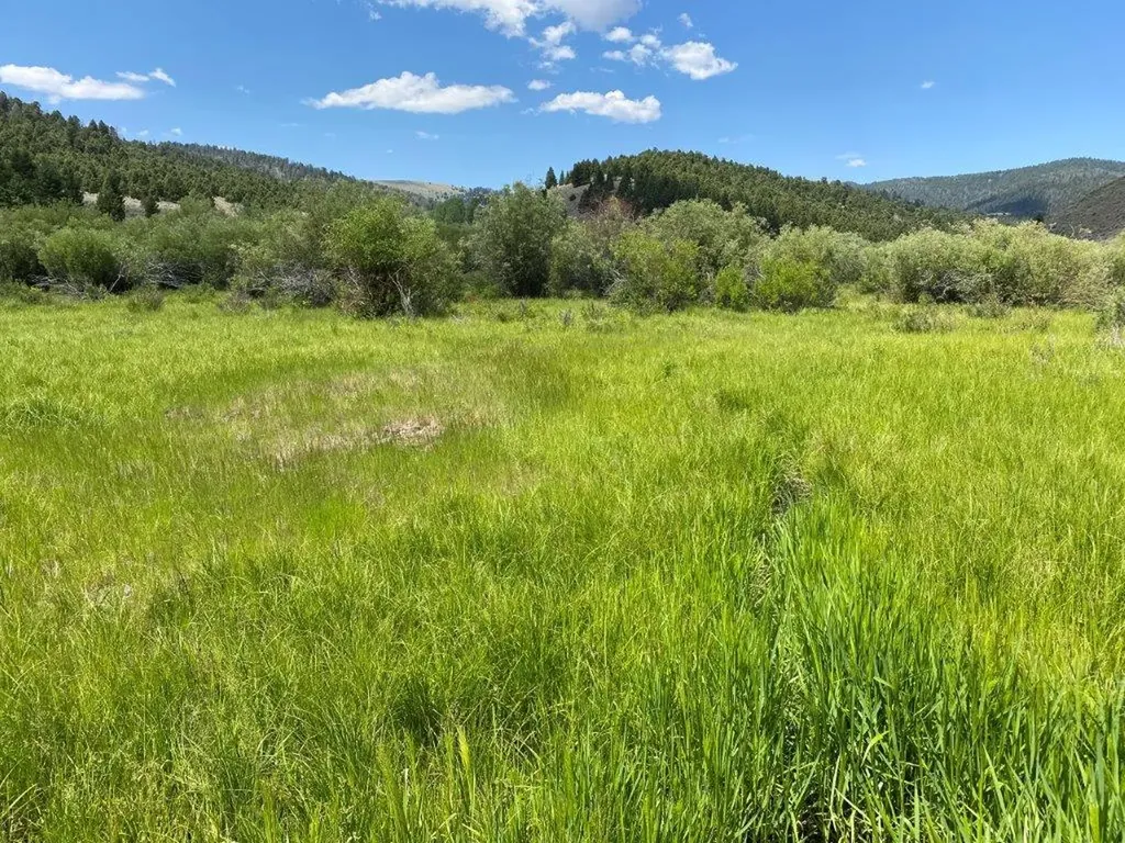 Tbd Camp Creek Road Butte MT 59701