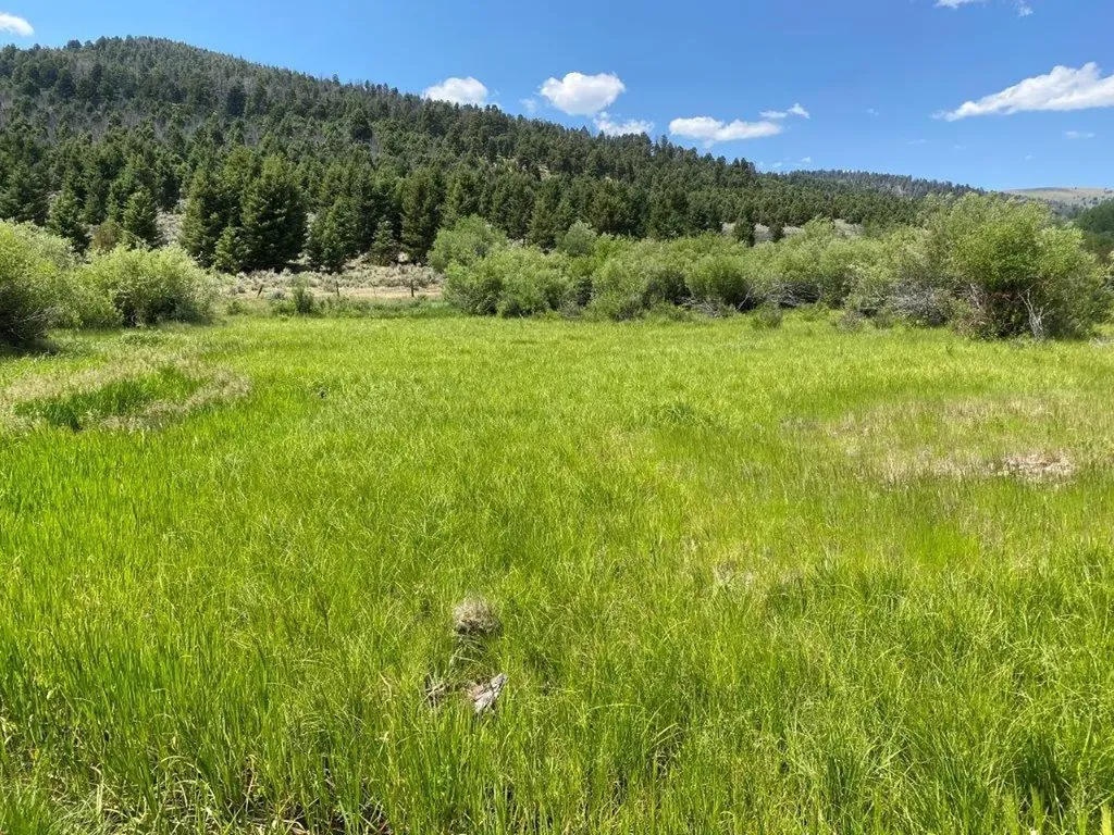 Tbd Camp Creek Road Butte MT 59701