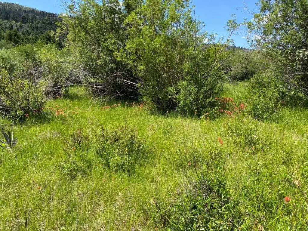 Tbd Camp Creek Road Butte MT 59701