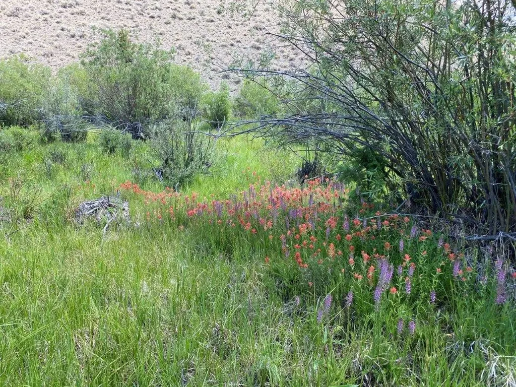 Tbd Camp Creek Road Butte MT 59701