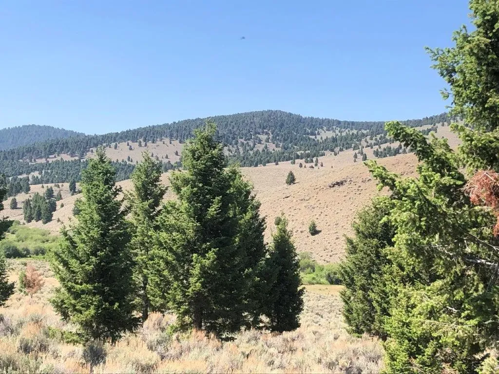 Tbd Camp Creek Road Butte MT 59701