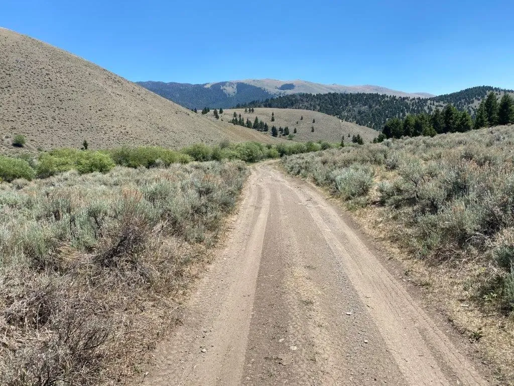 Tbd Camp Creek Road Butte MT 59701