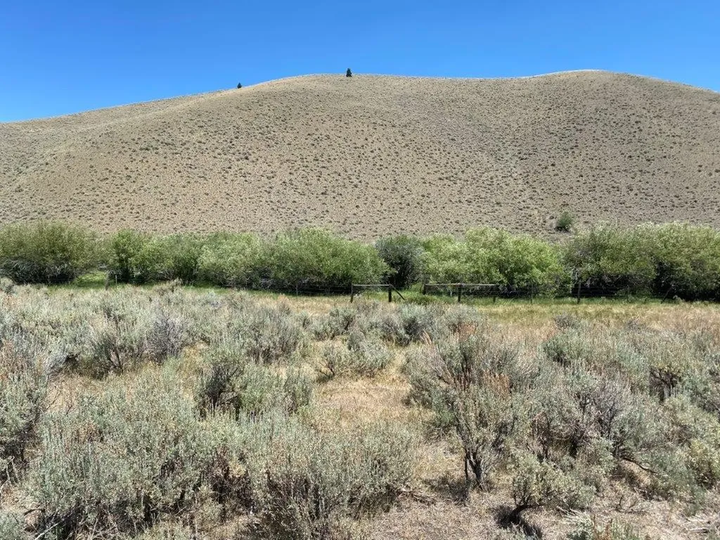 Tbd Camp Creek Road Butte MT 59701