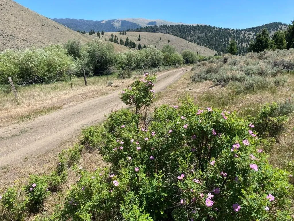 Tbd Camp Creek Road Butte MT 59701